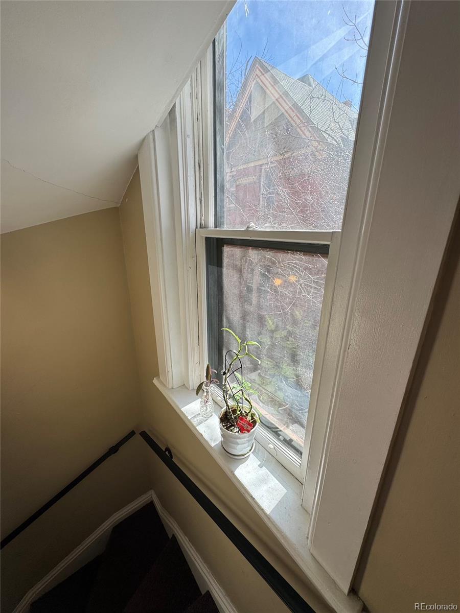 MLS Image #37 for 1625 n downing street,denver, Colorado