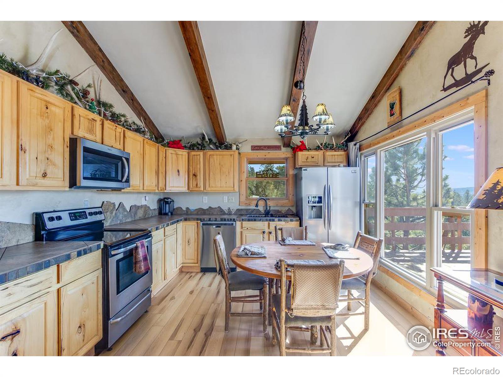 MLS Image #14 for 408  pine tree drive,estes park, Colorado