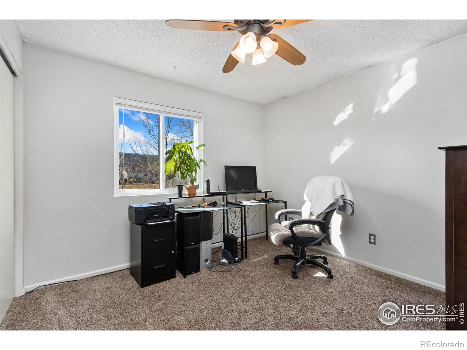 MLS Image #11 for 3705  dalton drive,fort collins, Colorado