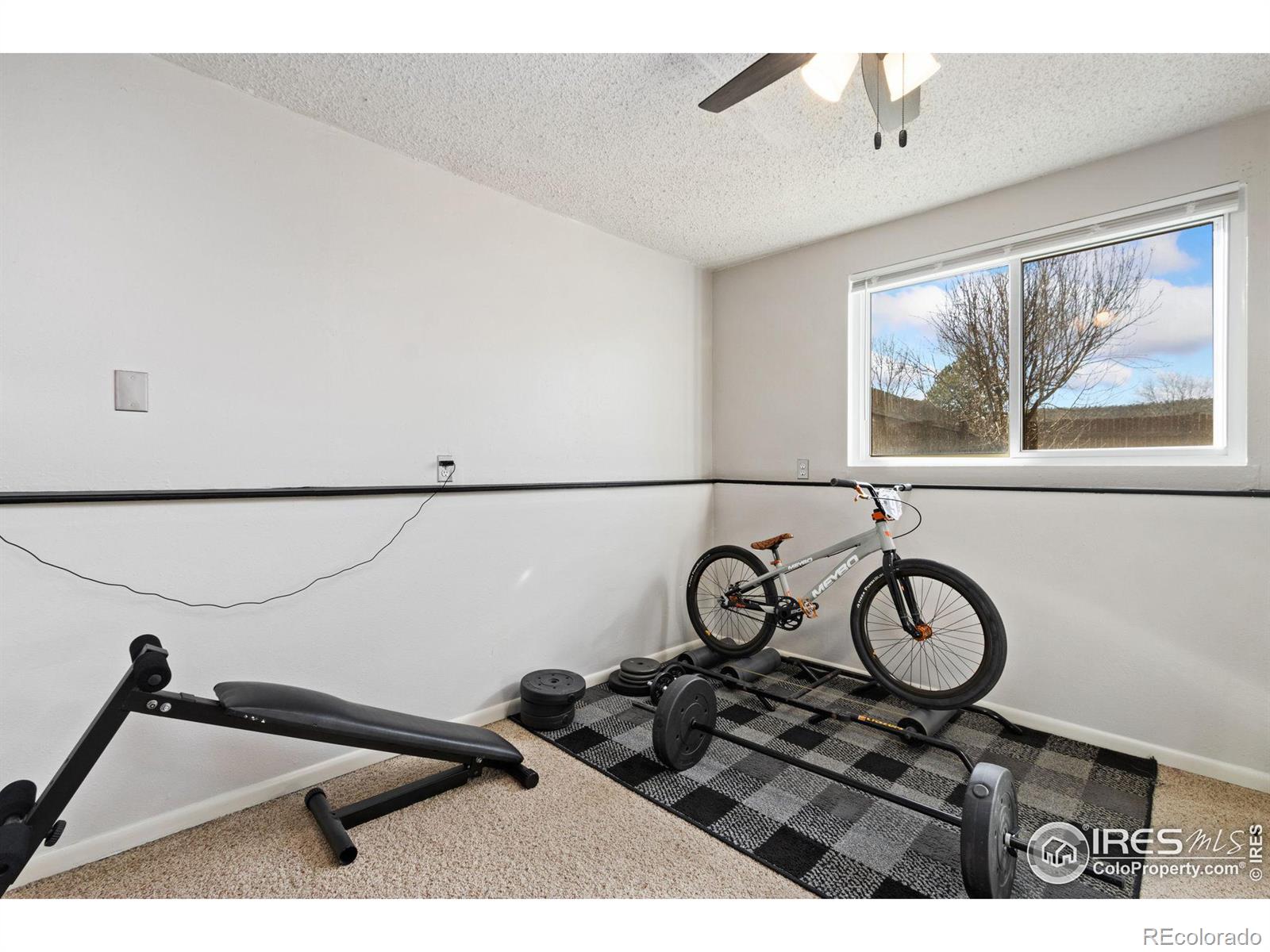 MLS Image #15 for 3705  dalton drive,fort collins, Colorado