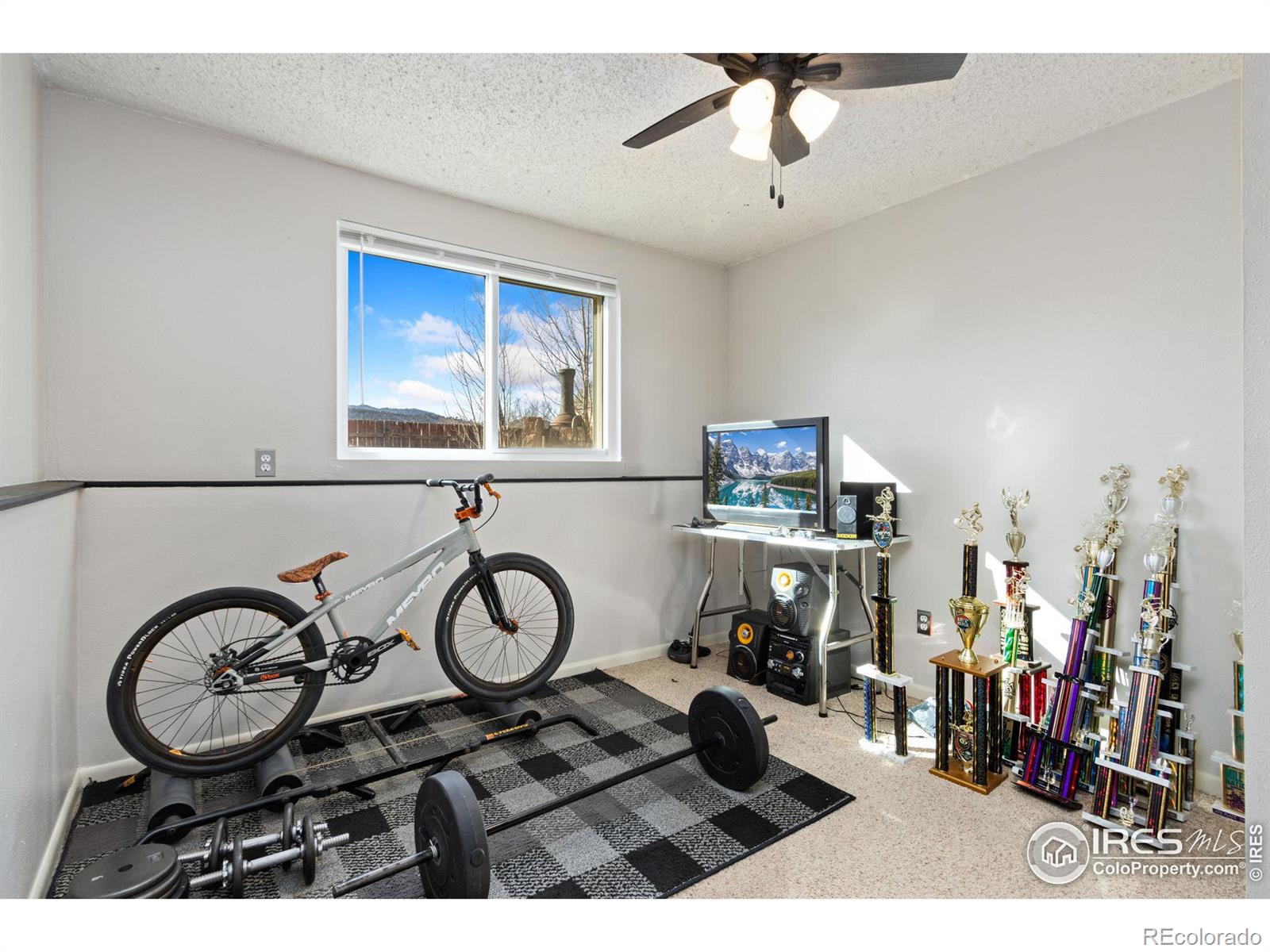 MLS Image #16 for 3705  dalton drive,fort collins, Colorado