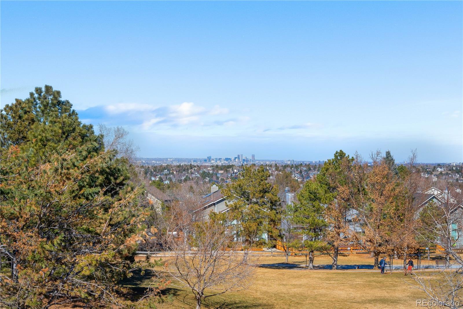 MLS Image #20 for 1621  beacon hill drive,highlands ranch, Colorado