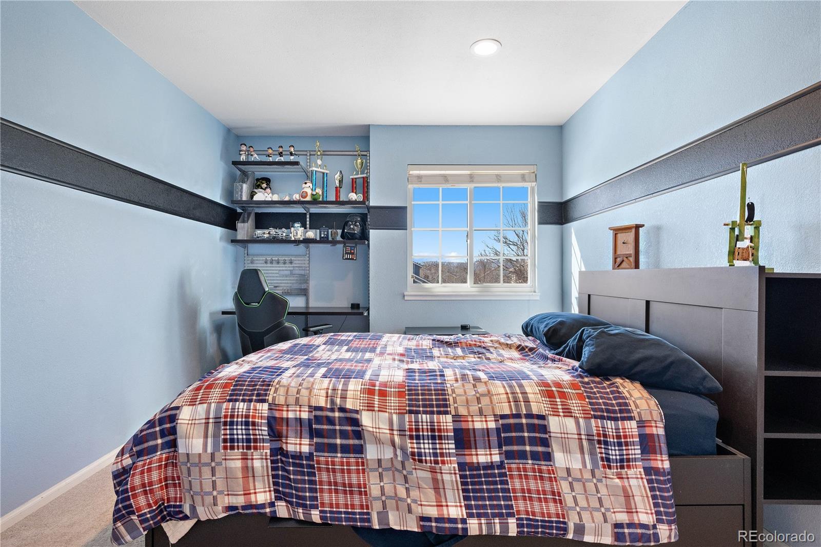 MLS Image #29 for 1621  beacon hill drive,highlands ranch, Colorado