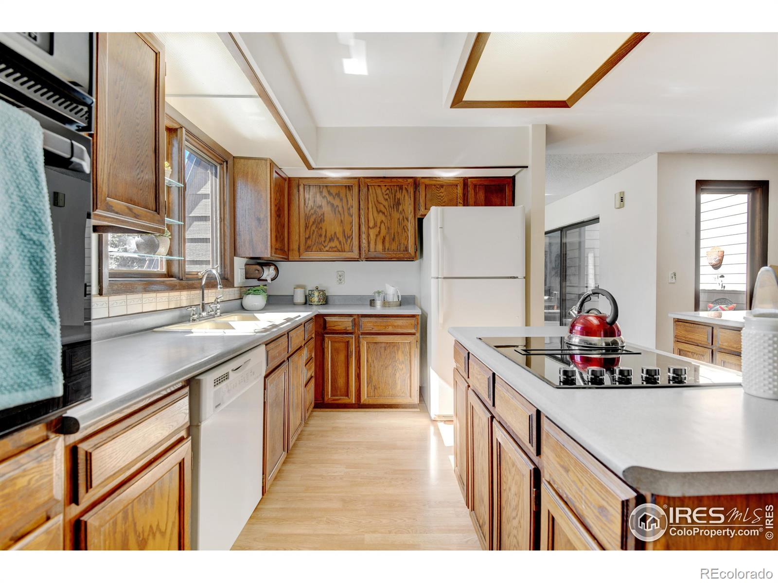 MLS Image #11 for 58  curtis court,broomfield, Colorado