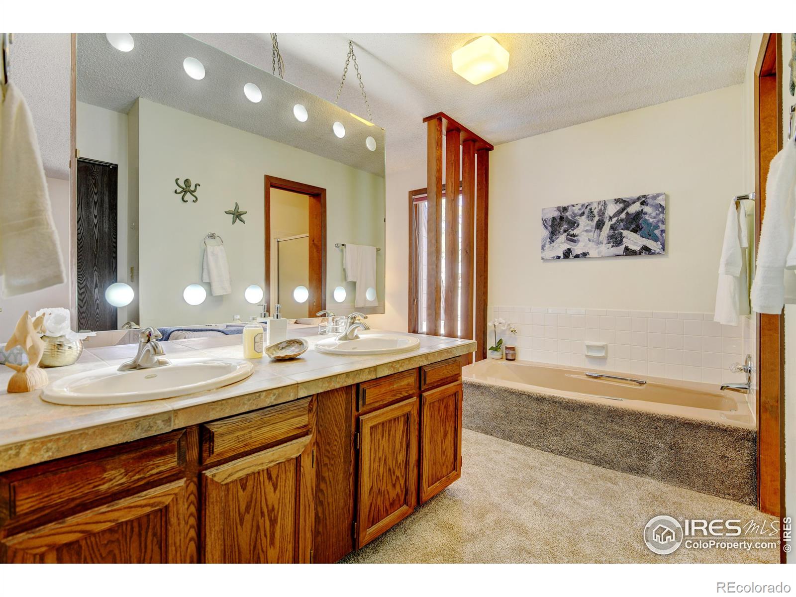 MLS Image #18 for 58  curtis court,broomfield, Colorado