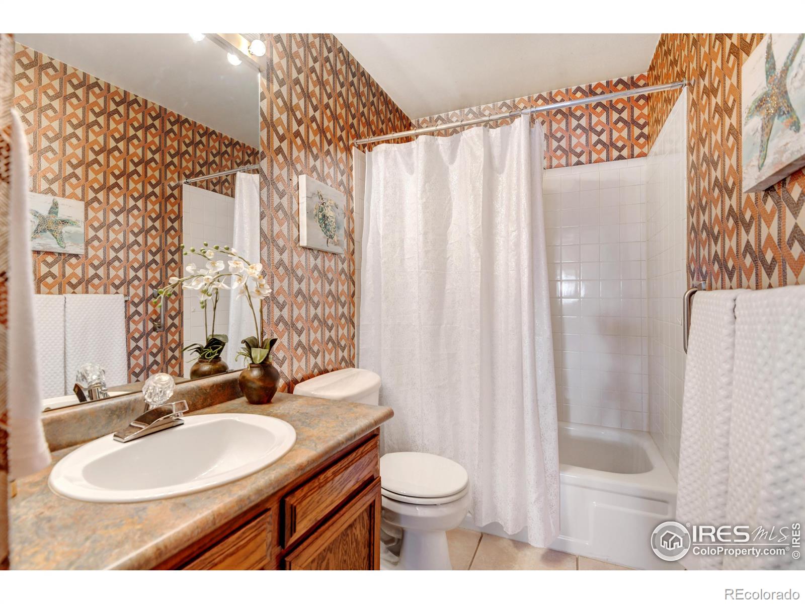 MLS Image #22 for 58  curtis court,broomfield, Colorado