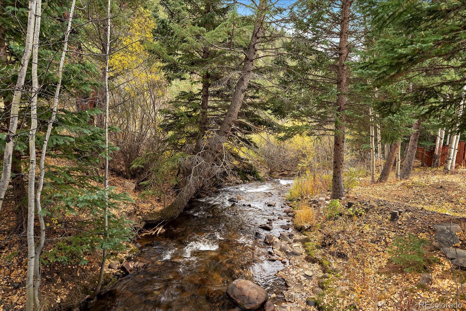 MLS Image #4 for 2971  fall river road,idaho springs, Colorado