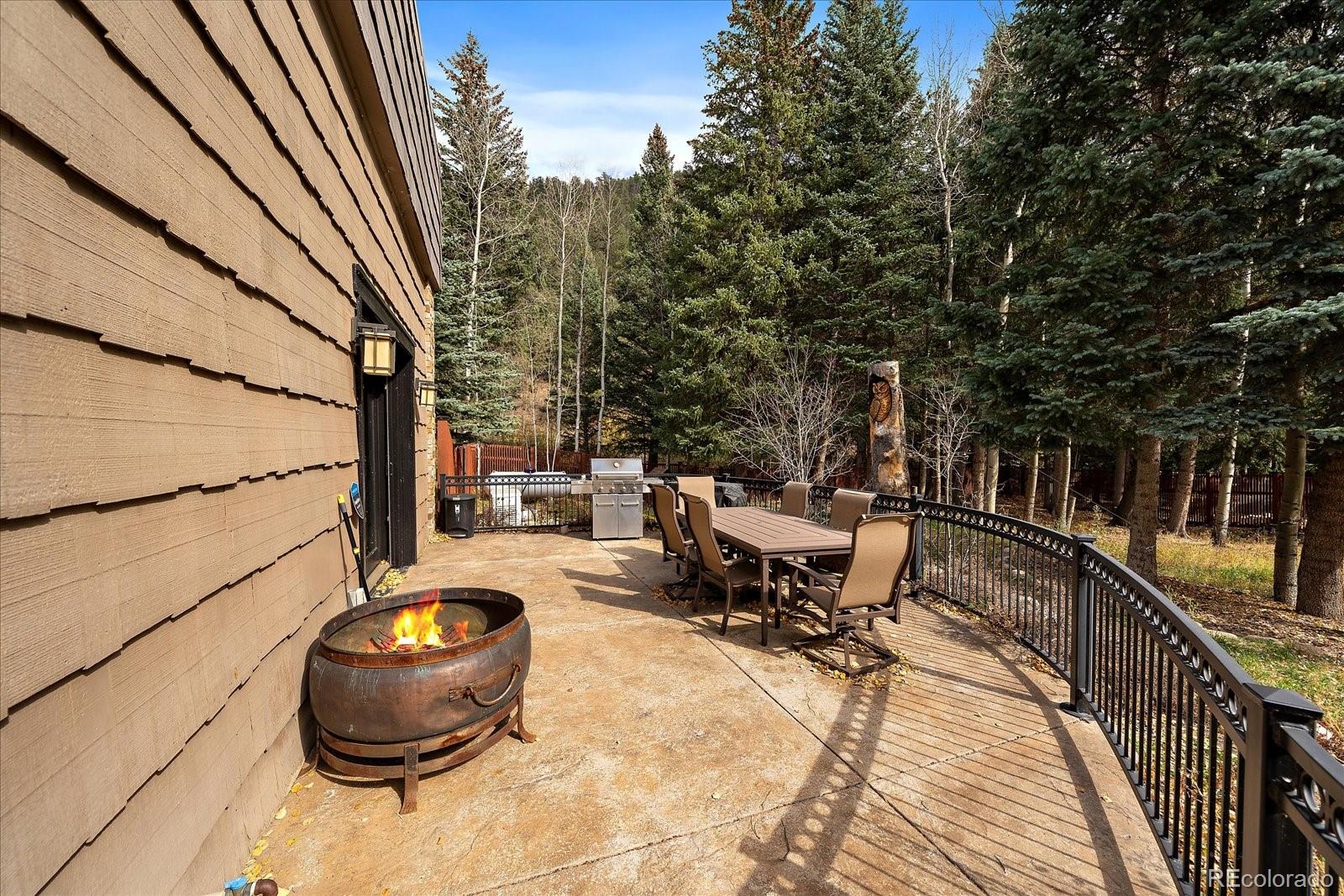 MLS Image #6 for 2971  fall river road,idaho springs, Colorado