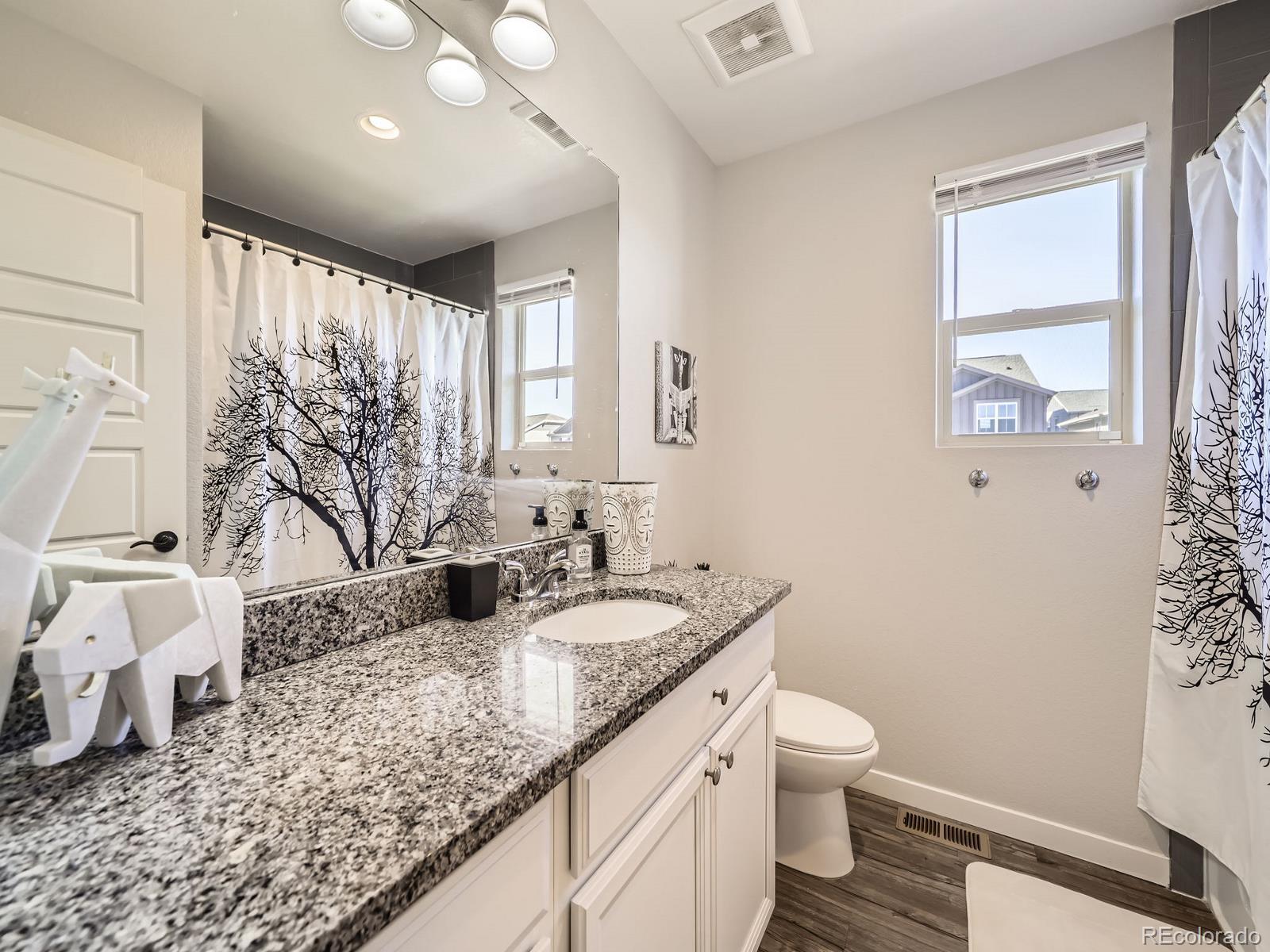 MLS Image #21 for 3744  celestial avenue,castle rock, Colorado