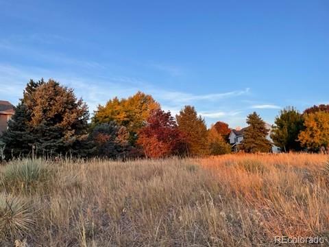 MLS Image #46 for 2226  weatherstone circle,highlands ranch, Colorado