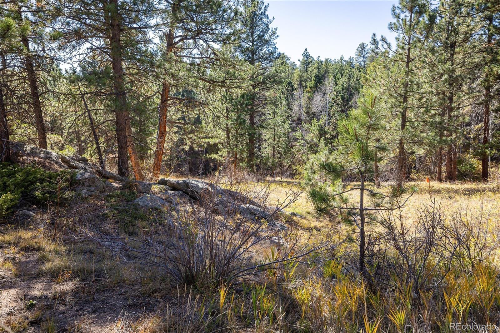 MLS Image #31 for 31948  highway 72 ,golden, Colorado