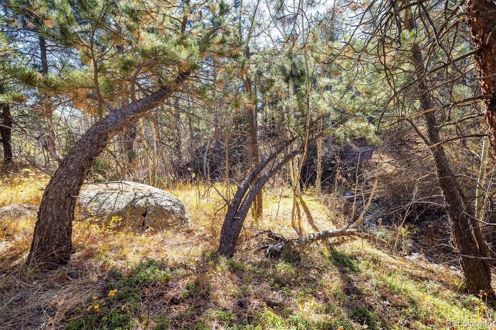 MLS Image #33 for 31948  highway 72 ,golden, Colorado