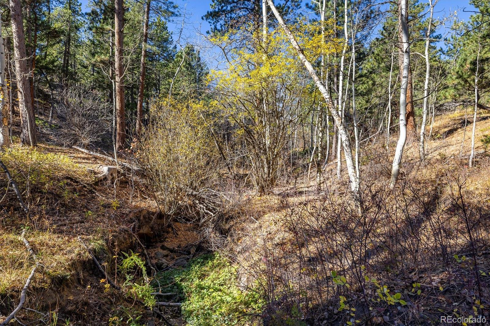 MLS Image #34 for 31948  highway 72 ,golden, Colorado