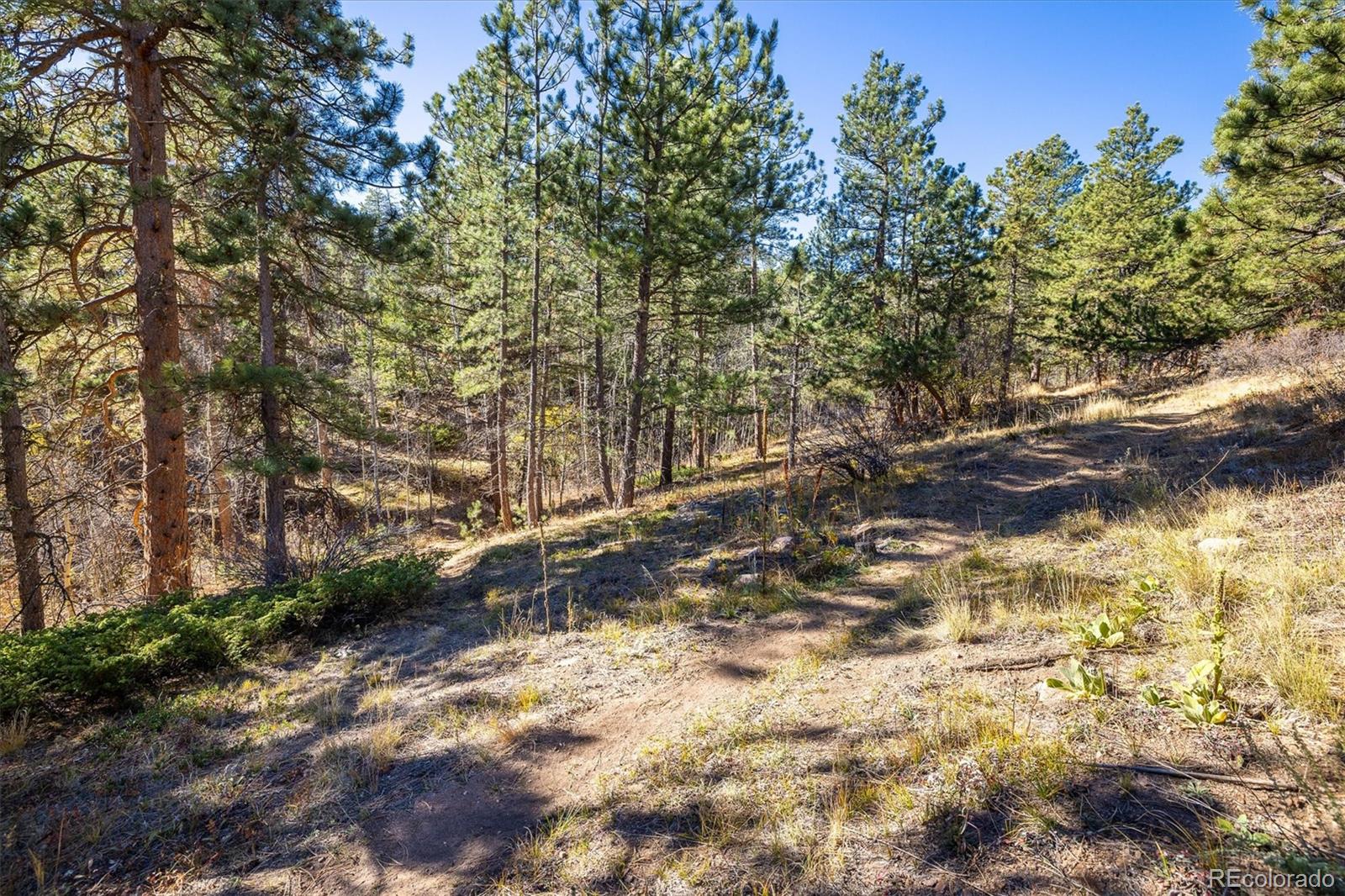 MLS Image #36 for 31948  highway 72 ,golden, Colorado