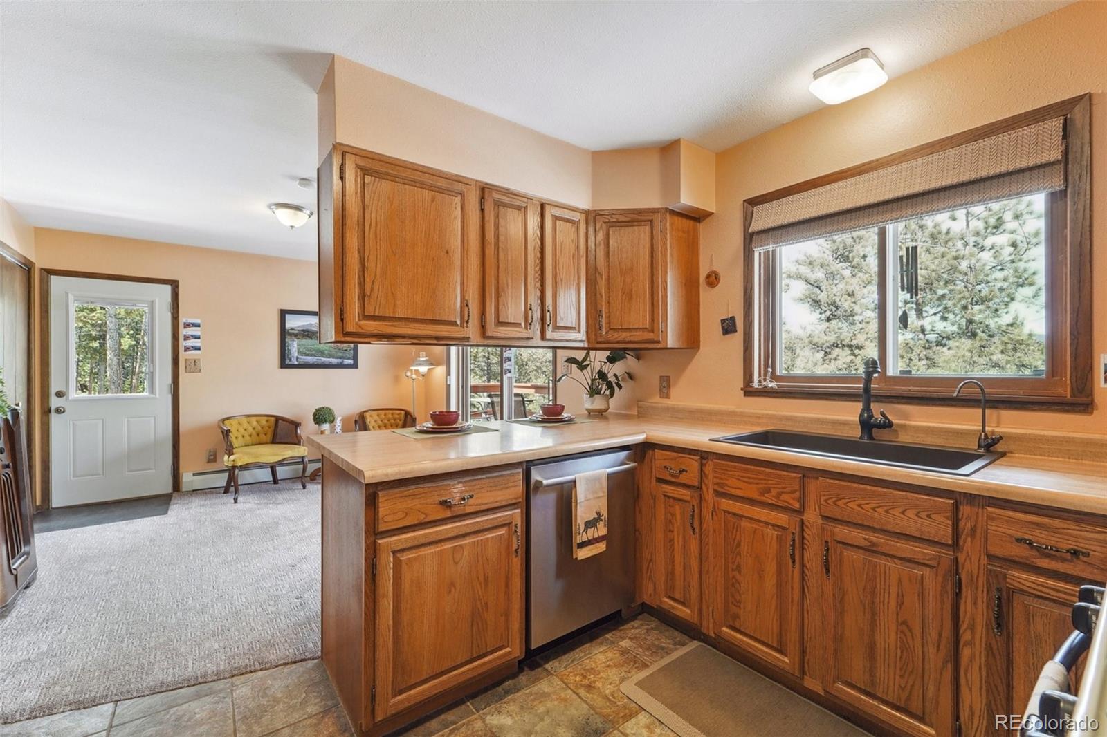 MLS Image #11 for 246  tapadero road,bailey, Colorado