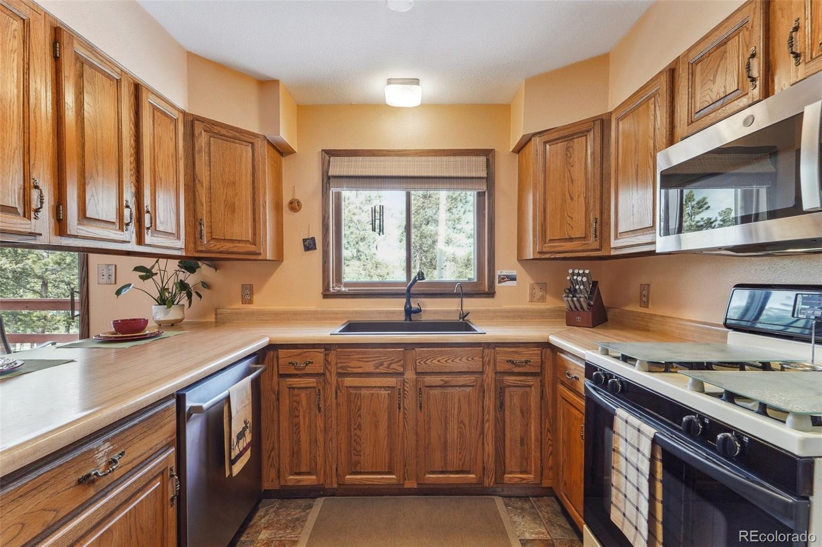 MLS Image #12 for 246  tapadero road,bailey, Colorado