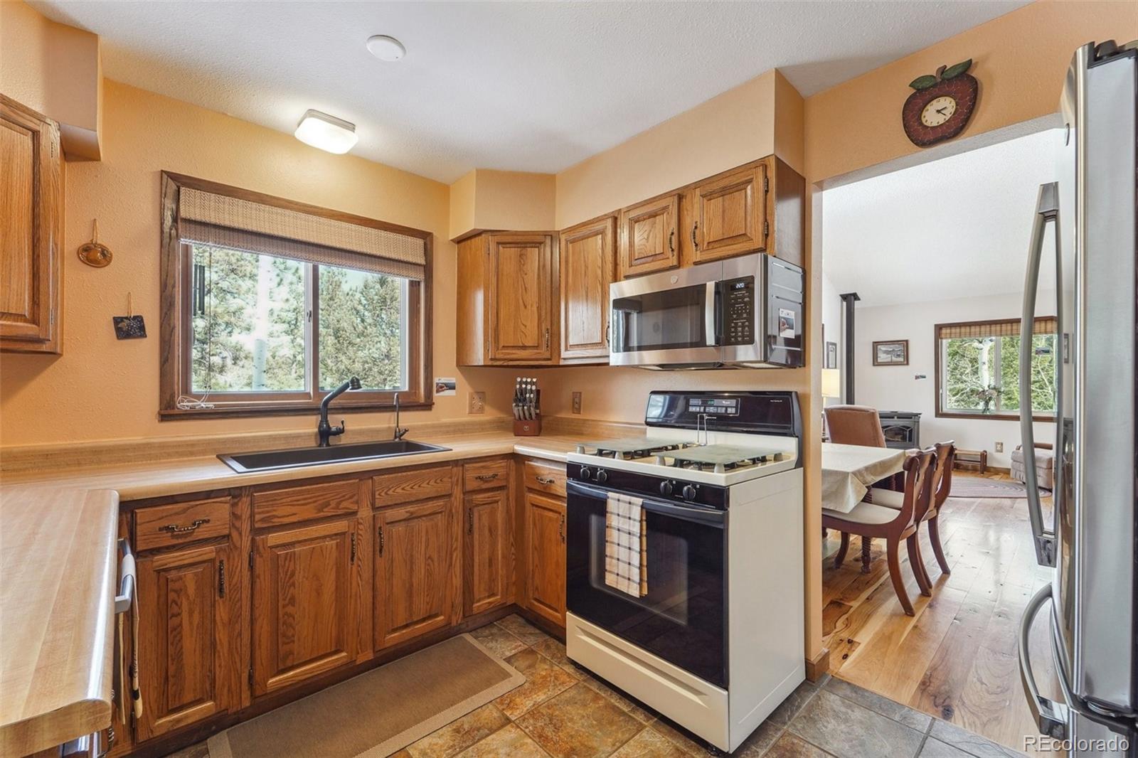 MLS Image #13 for 246  tapadero road,bailey, Colorado