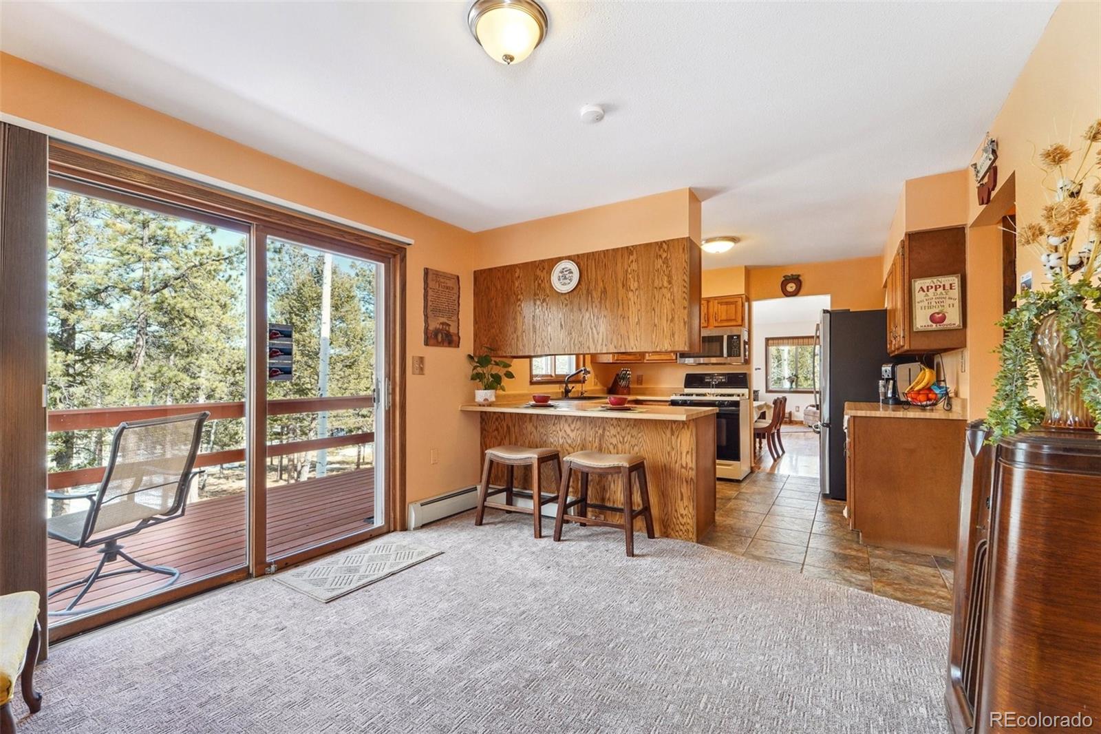 MLS Image #16 for 246  tapadero road,bailey, Colorado