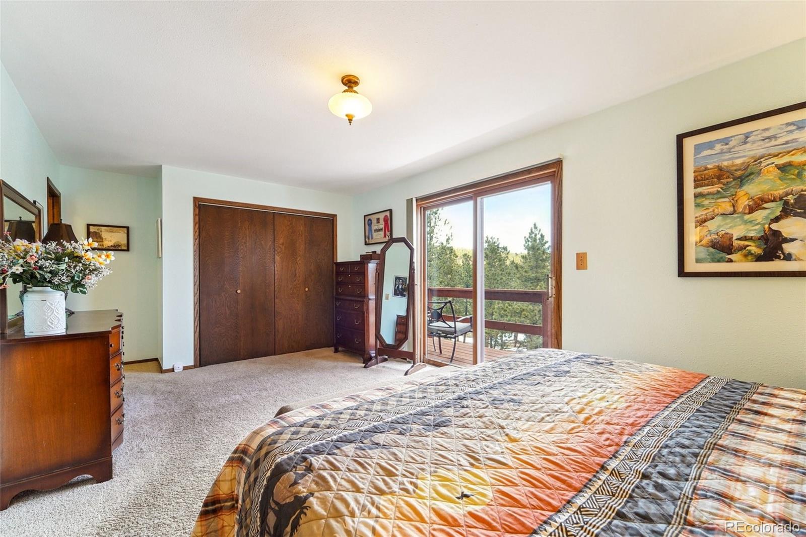 MLS Image #19 for 246  tapadero road,bailey, Colorado