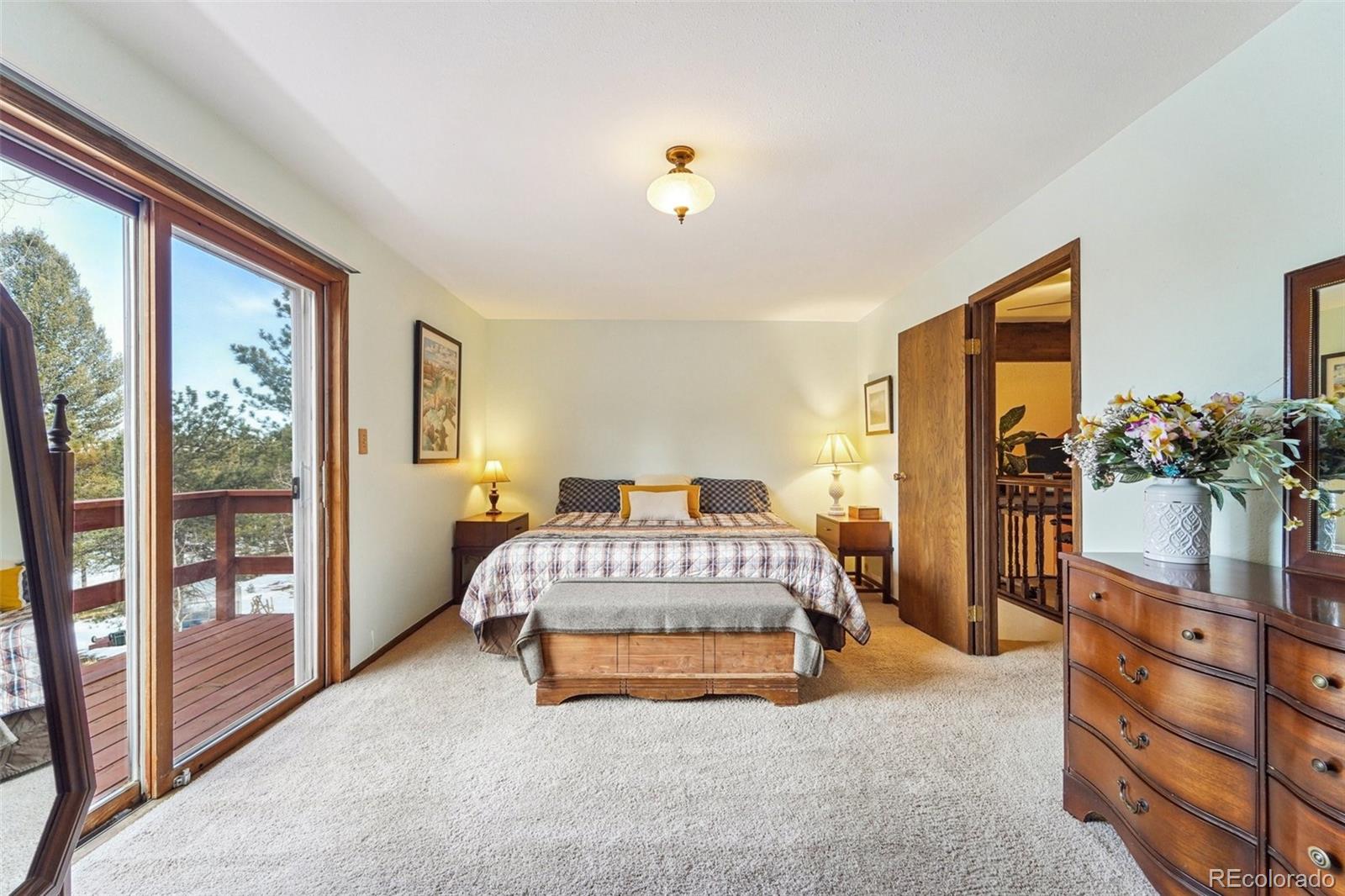 MLS Image #21 for 246  tapadero road,bailey, Colorado