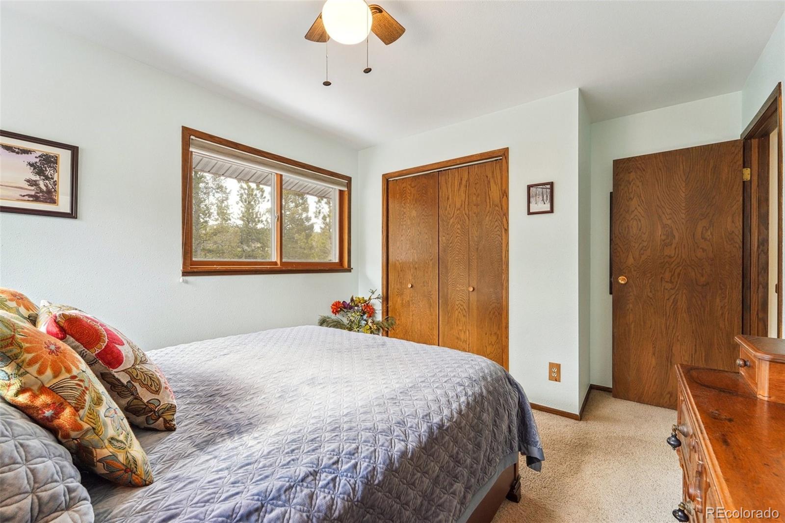 MLS Image #28 for 246  tapadero road,bailey, Colorado