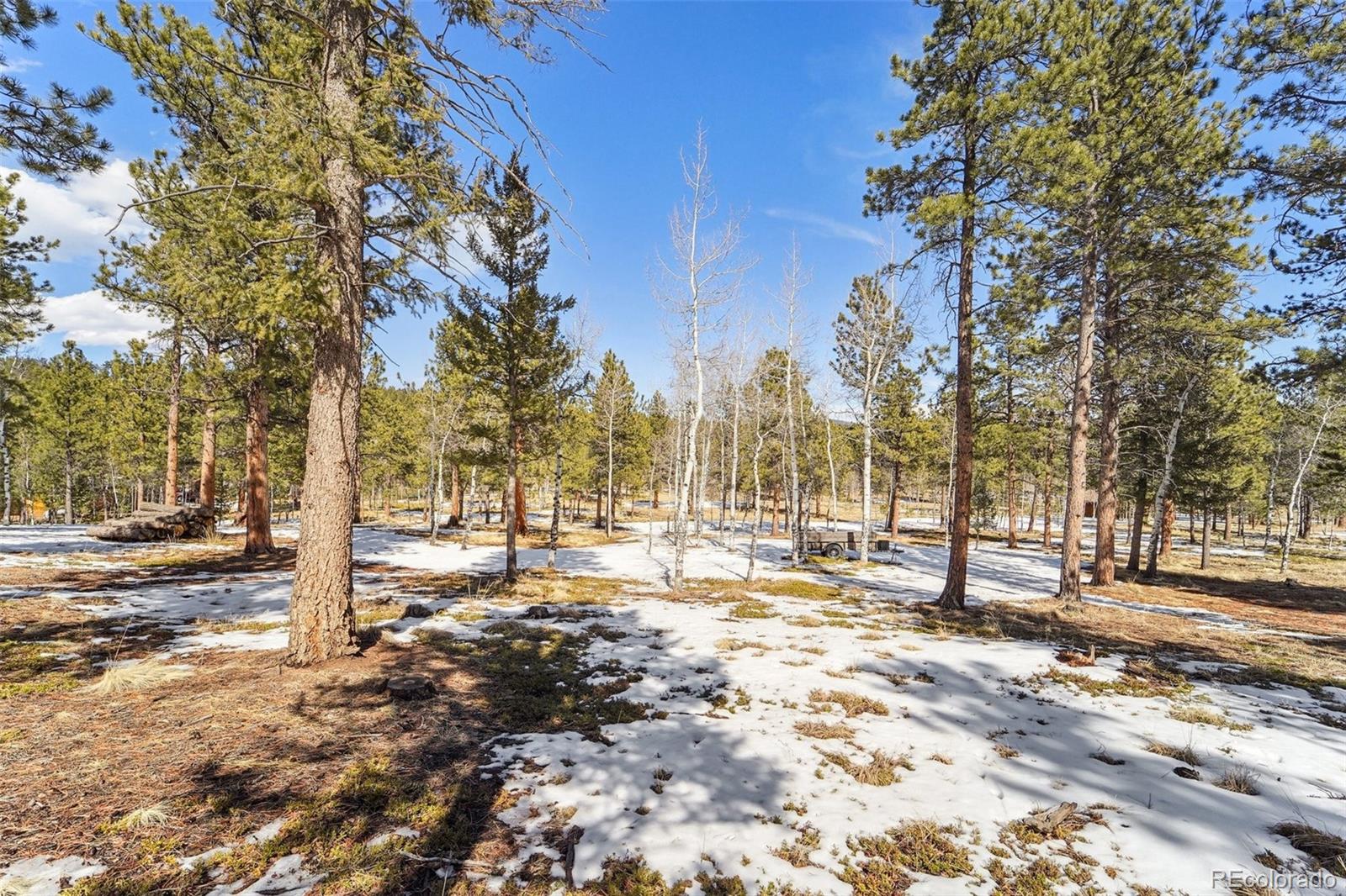 MLS Image #35 for 246  tapadero road,bailey, Colorado