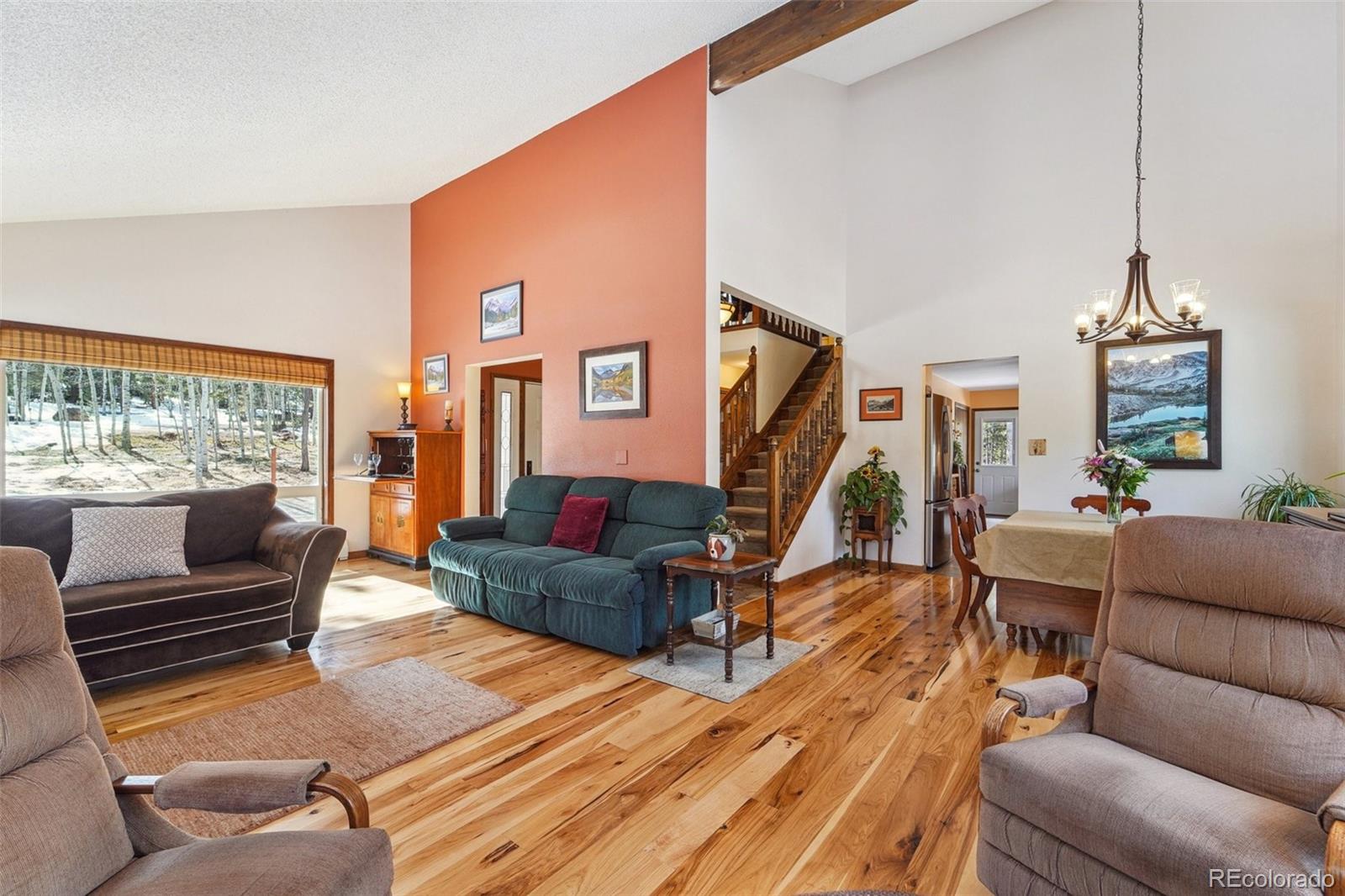 MLS Image #8 for 246  tapadero road,bailey, Colorado