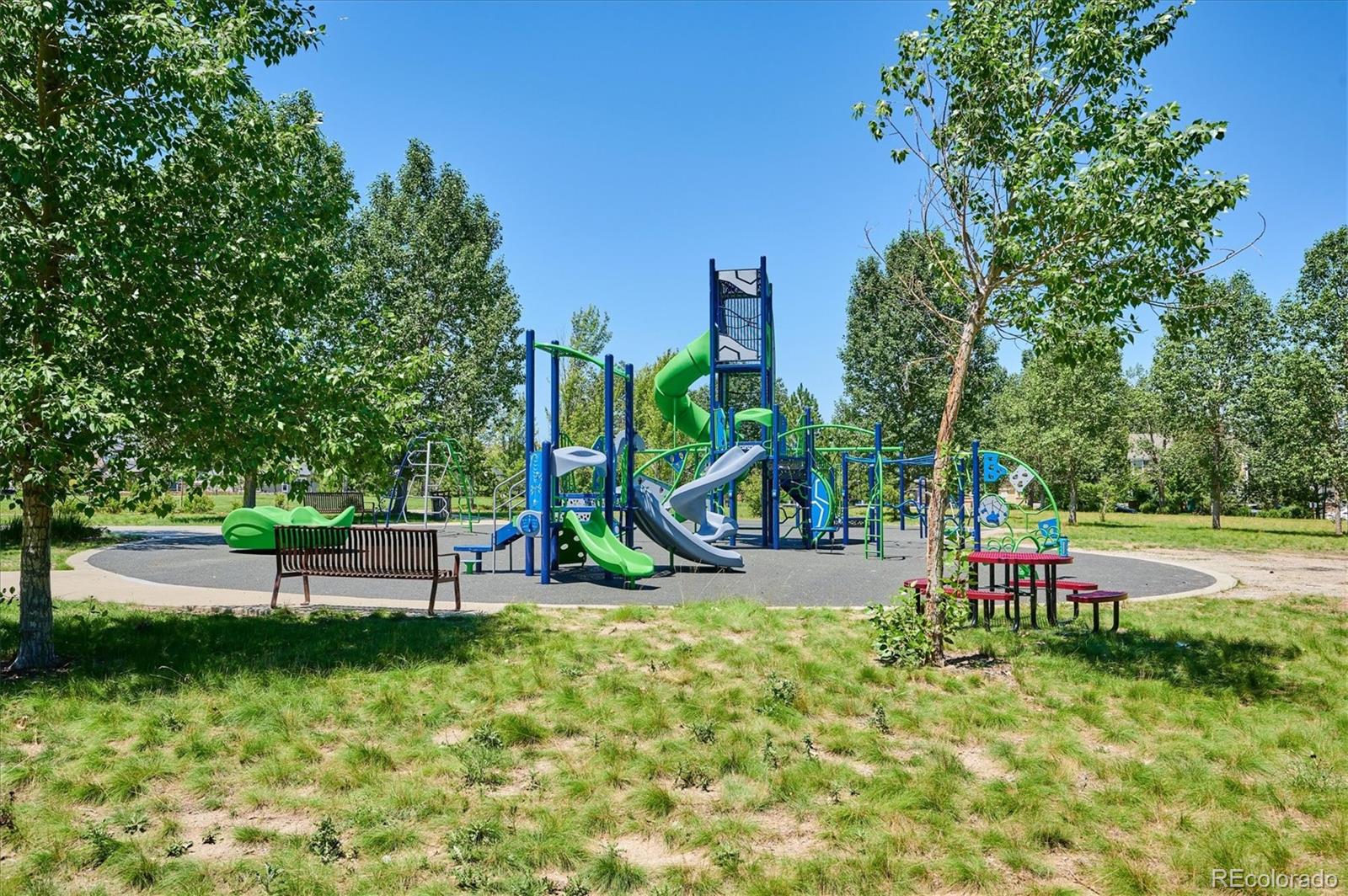 MLS Image #21 for 18304  caffey drive,parker, Colorado