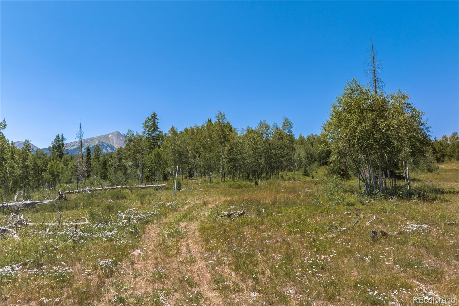 MLS Image #10 for 0  whetstone drive,silverthorne, Colorado