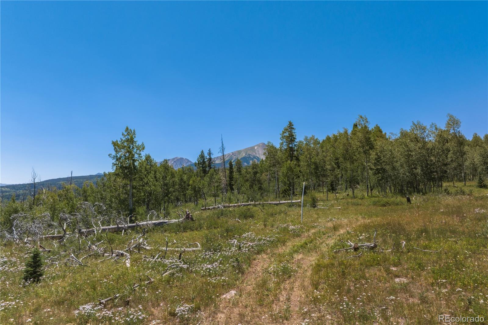 MLS Image #11 for 0  whetstone drive,silverthorne, Colorado