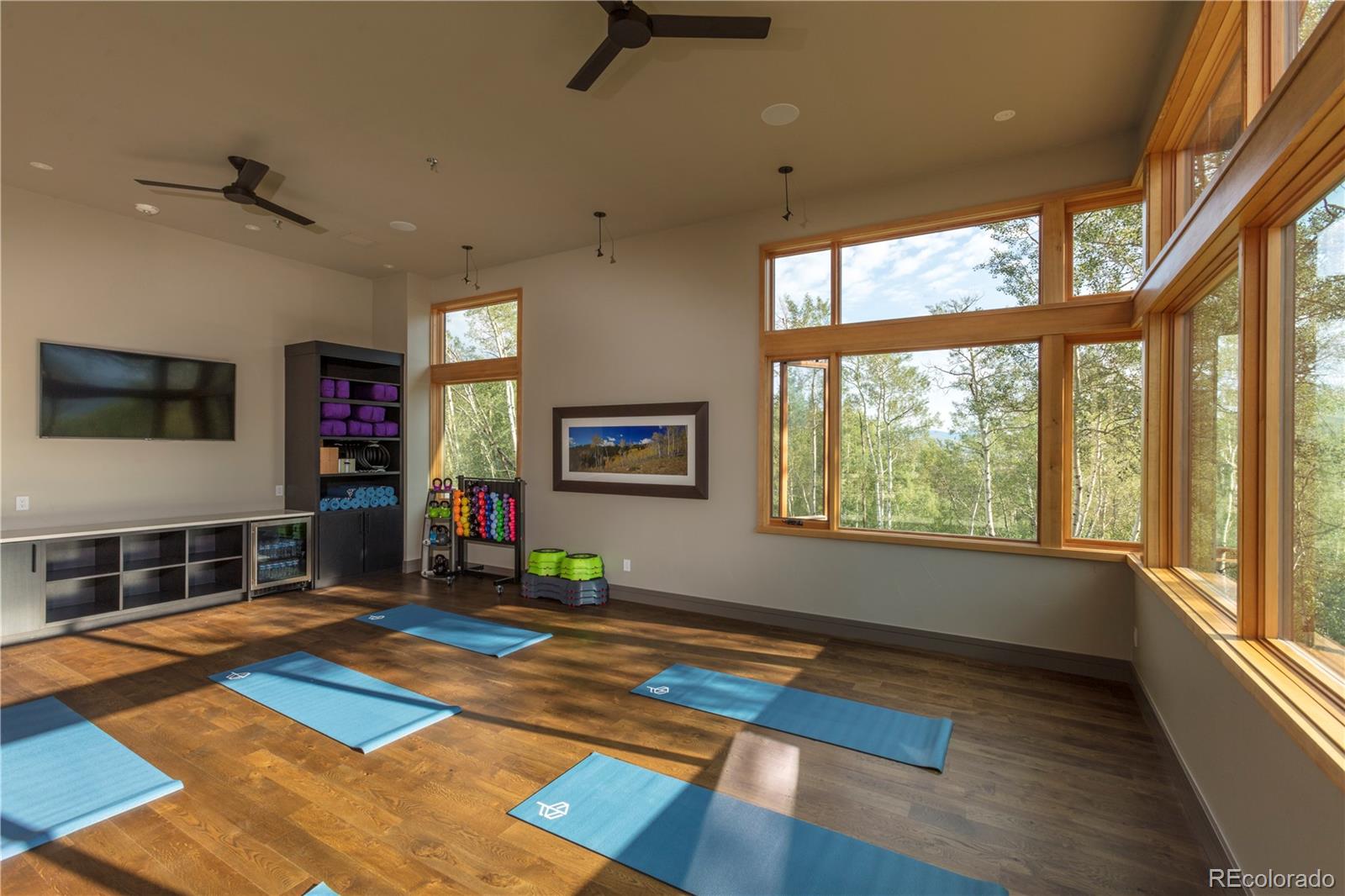 MLS Image #22 for 0  whetstone drive,silverthorne, Colorado