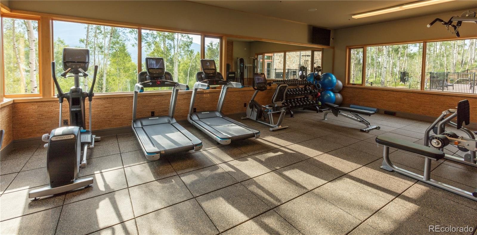 MLS Image #23 for 0  whetstone drive,silverthorne, Colorado