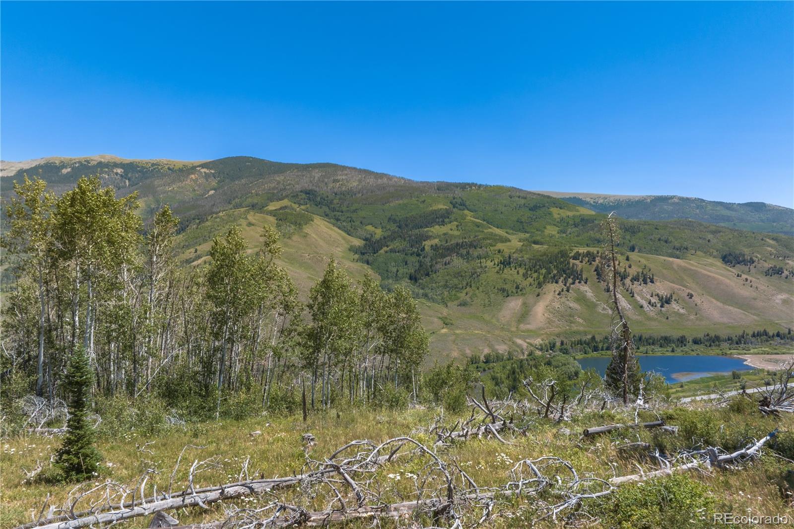 MLS Image #7 for 0  whetstone drive,silverthorne, Colorado