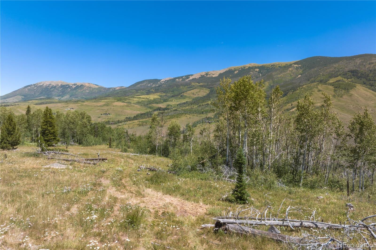 MLS Image #8 for 0  whetstone drive,silverthorne, Colorado