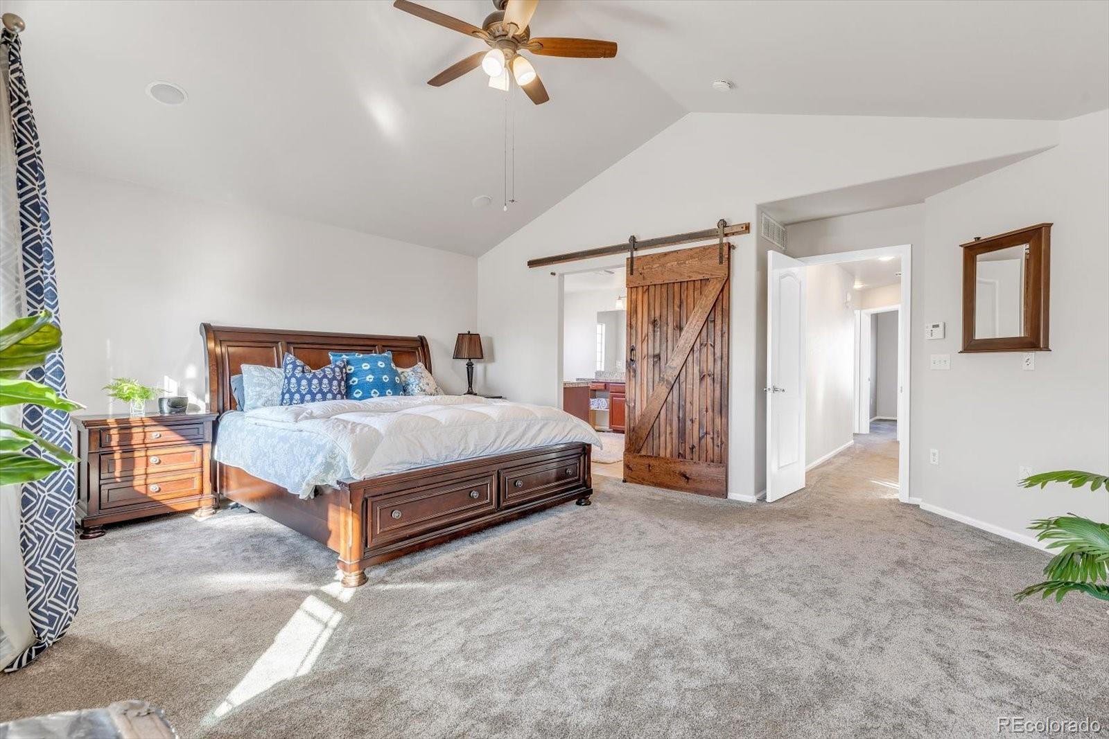 MLS Image #20 for 4576  sedona lane,dacono, Colorado
