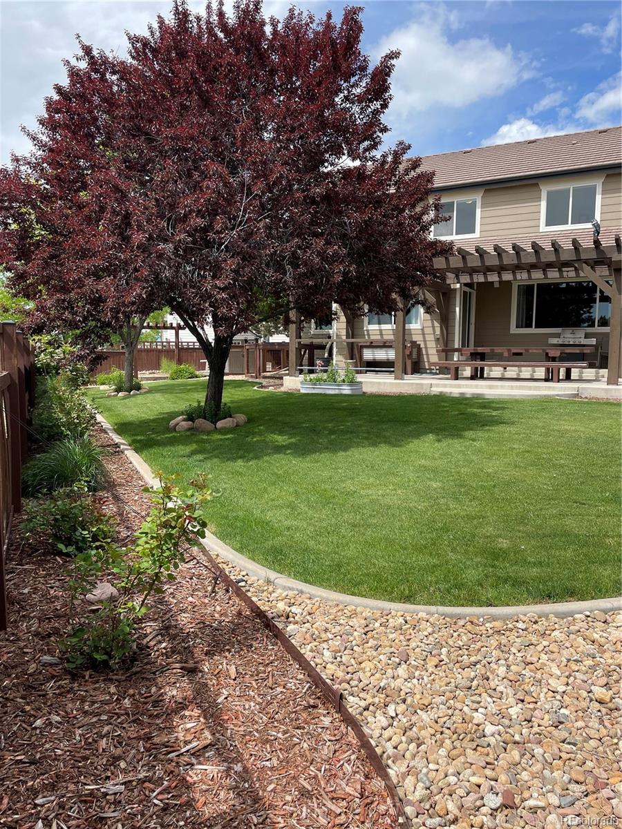 MLS Image #32 for 4576  sedona lane,dacono, Colorado