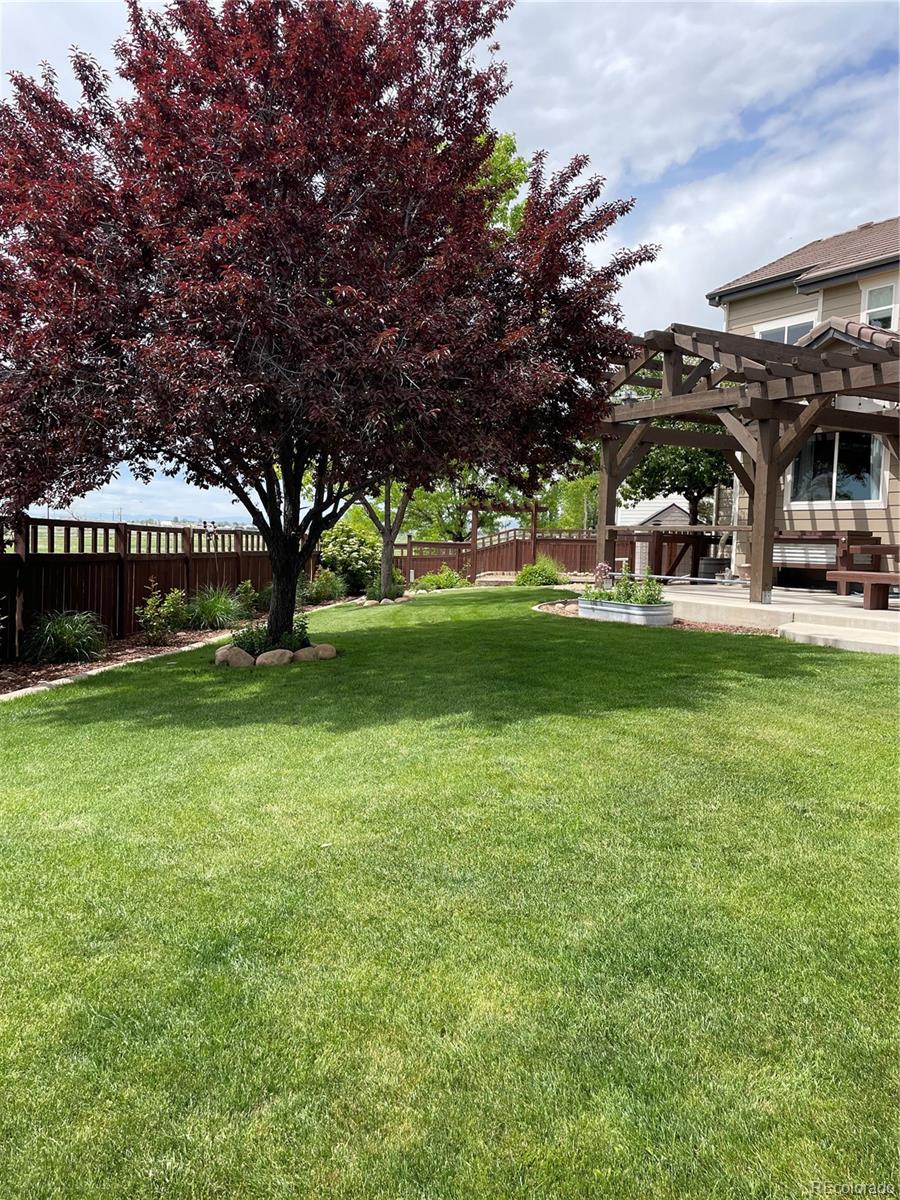 MLS Image #33 for 4576  sedona lane,dacono, Colorado