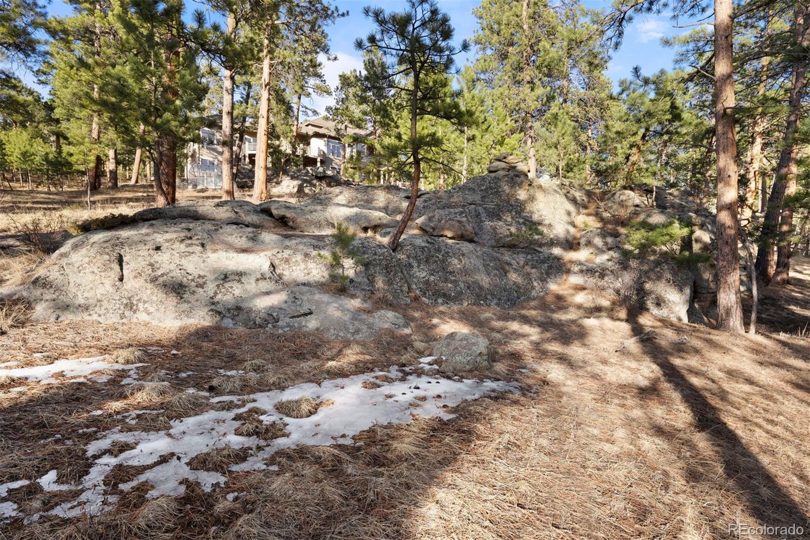 MLS Image #40 for 30082  troutdale ridge road,evergreen, Colorado