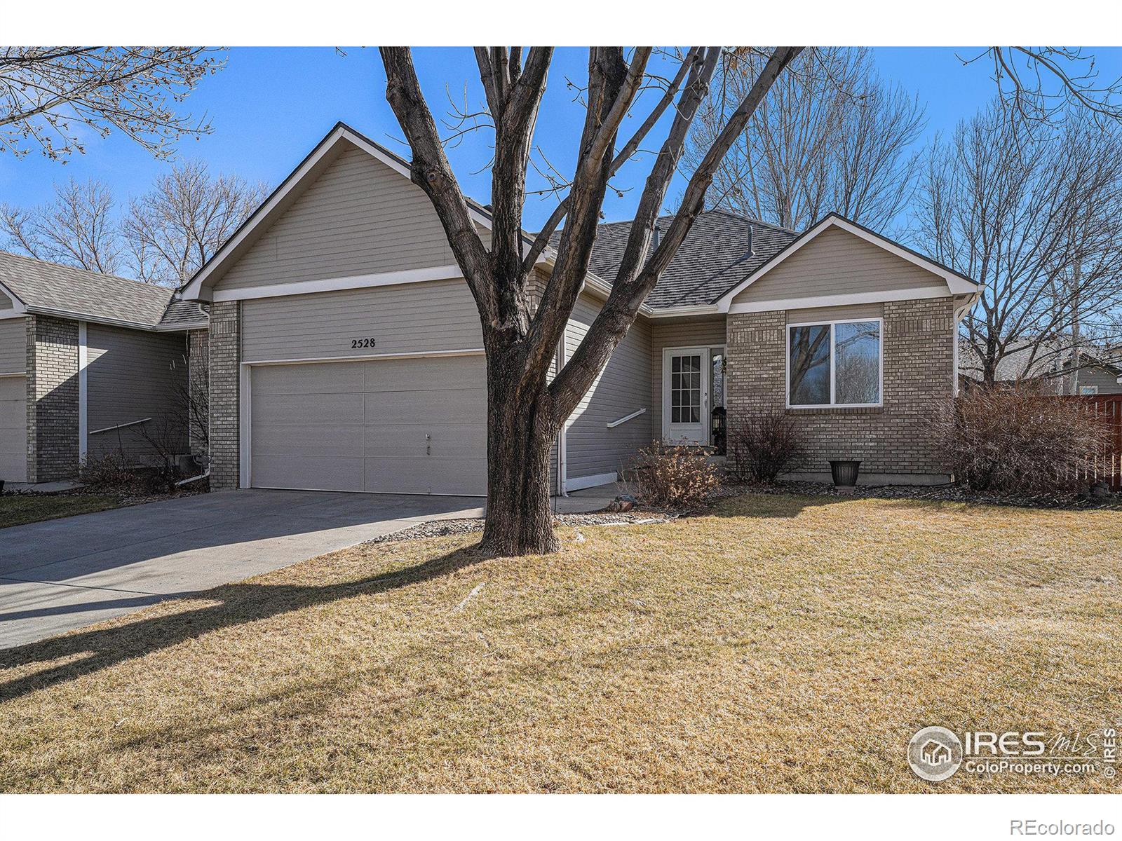 MLS Image #1 for 2528  begonia court,loveland, Colorado