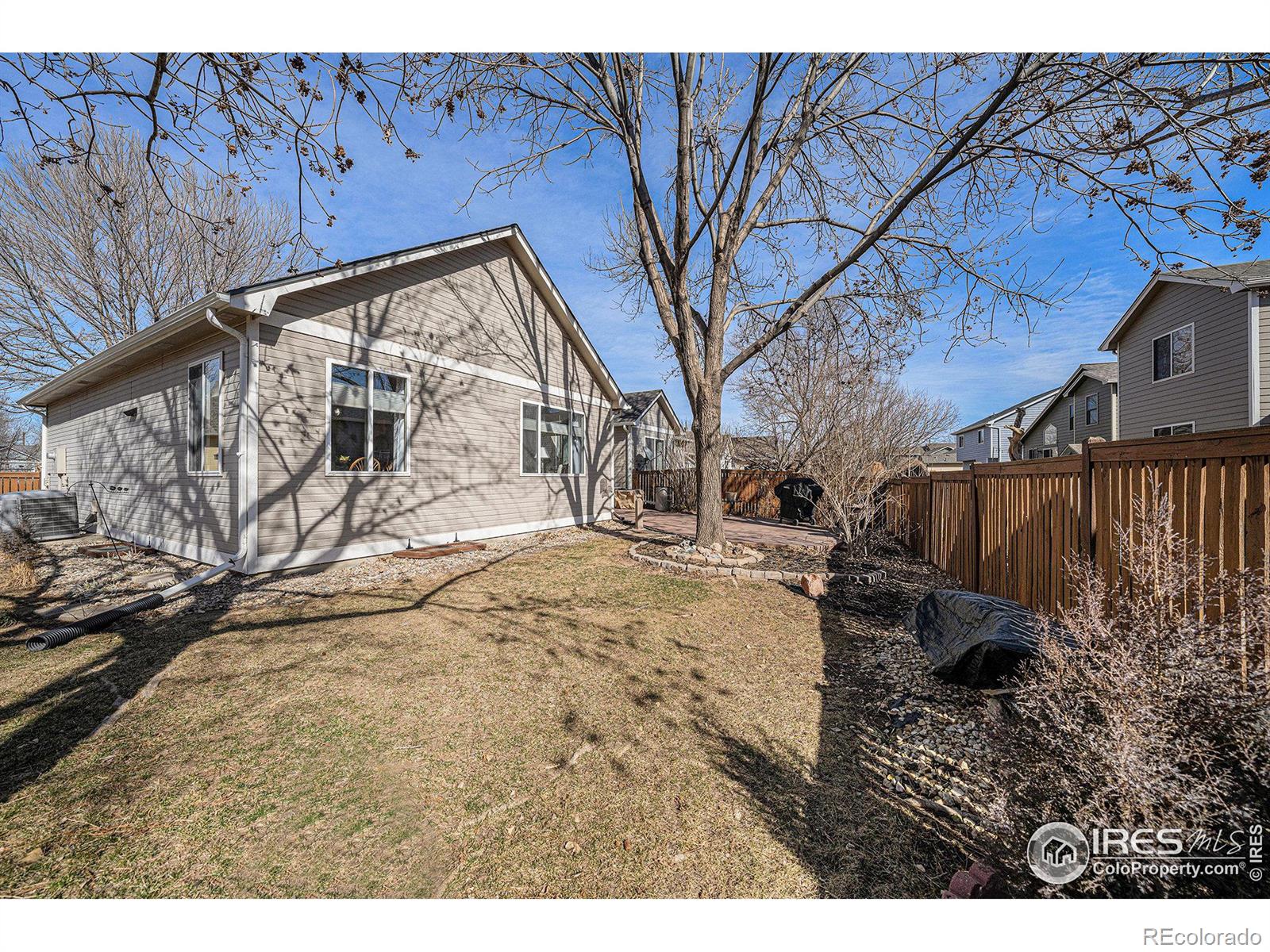 MLS Image #22 for 2528  begonia court,loveland, Colorado