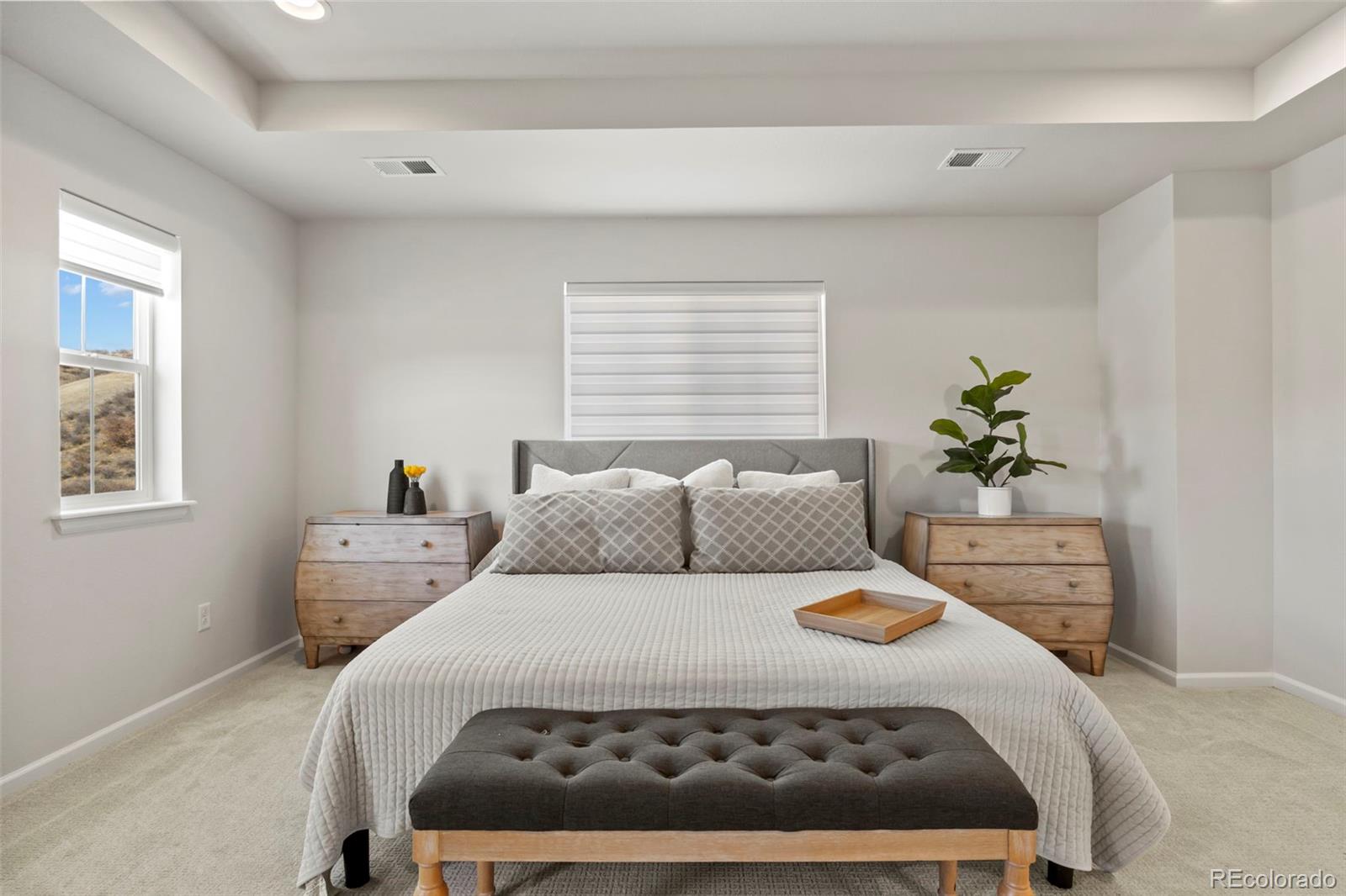 MLS Image #19 for 1044  oleander street,castle rock, Colorado