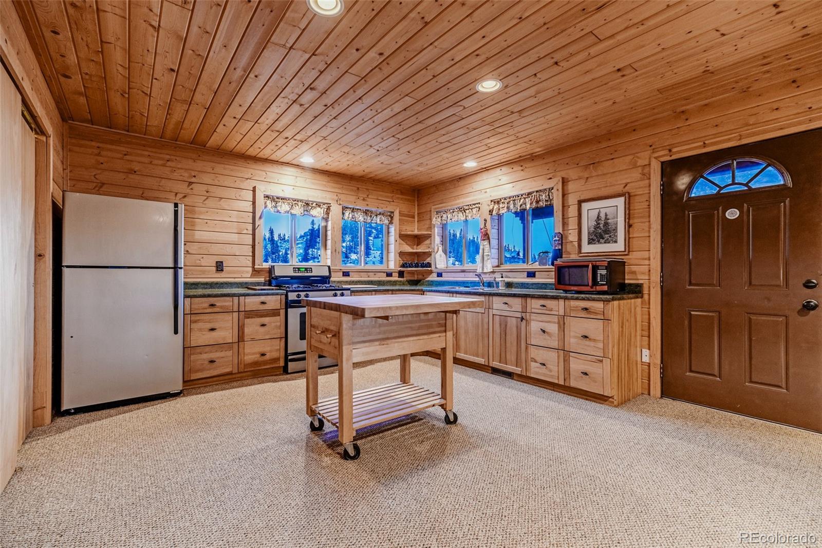 MLS Image #11 for 305  travois court,como, Colorado