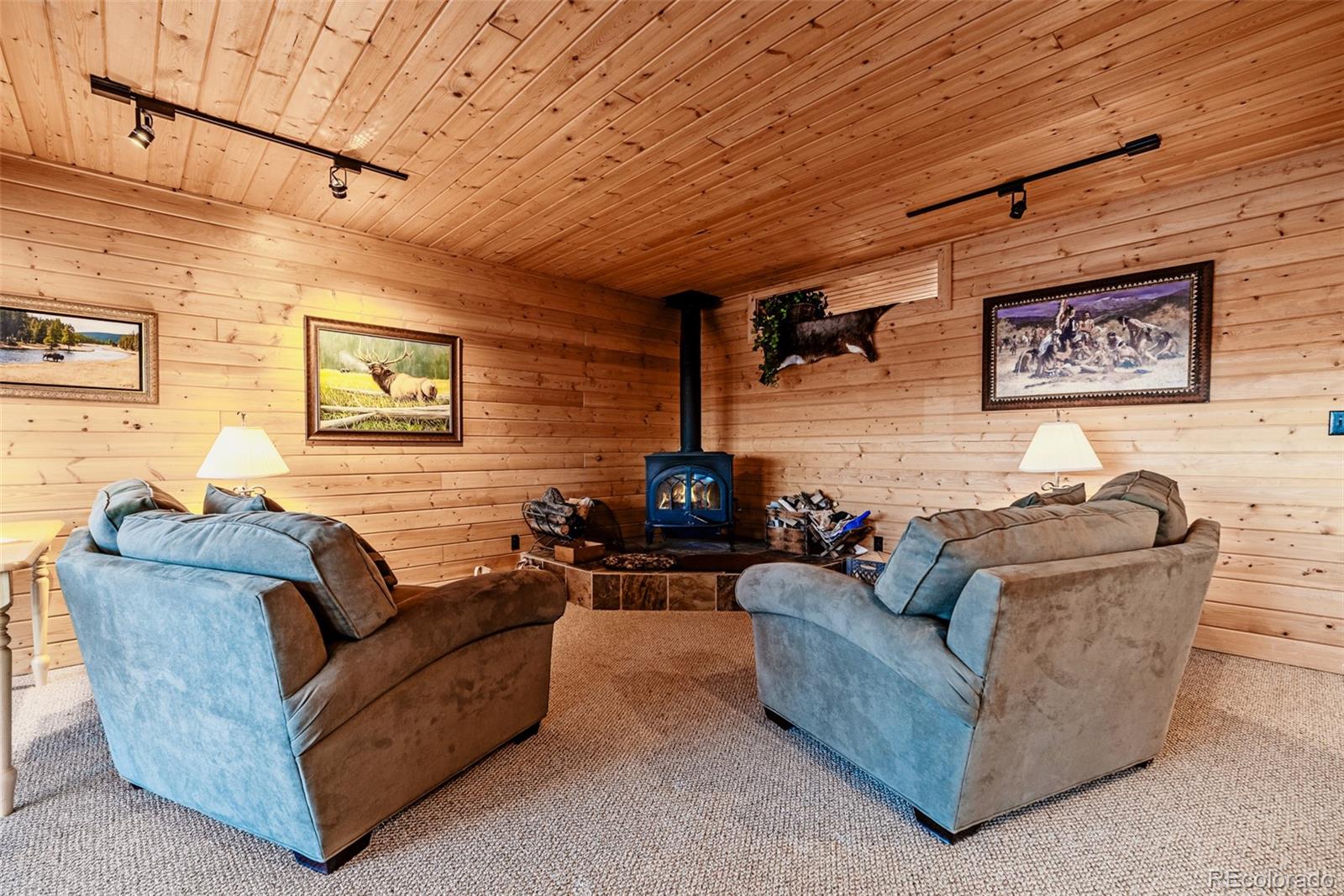 MLS Image #14 for 305  travois court,como, Colorado