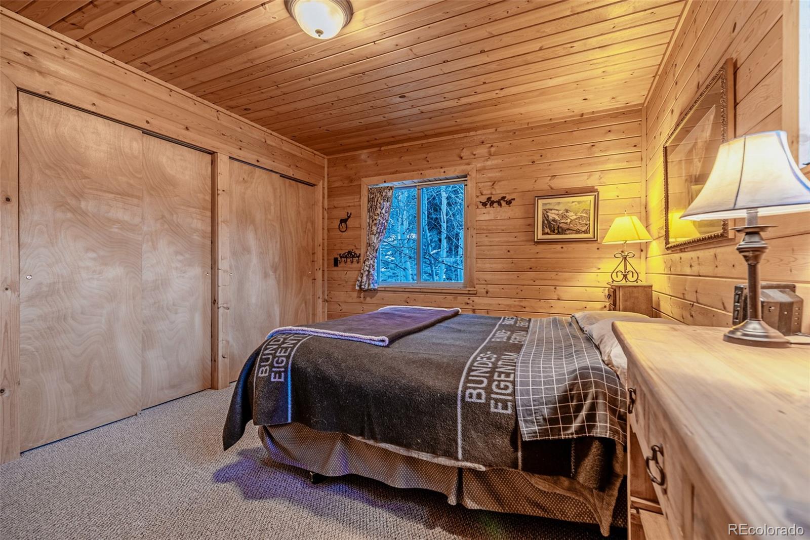 MLS Image #17 for 305  travois court,como, Colorado
