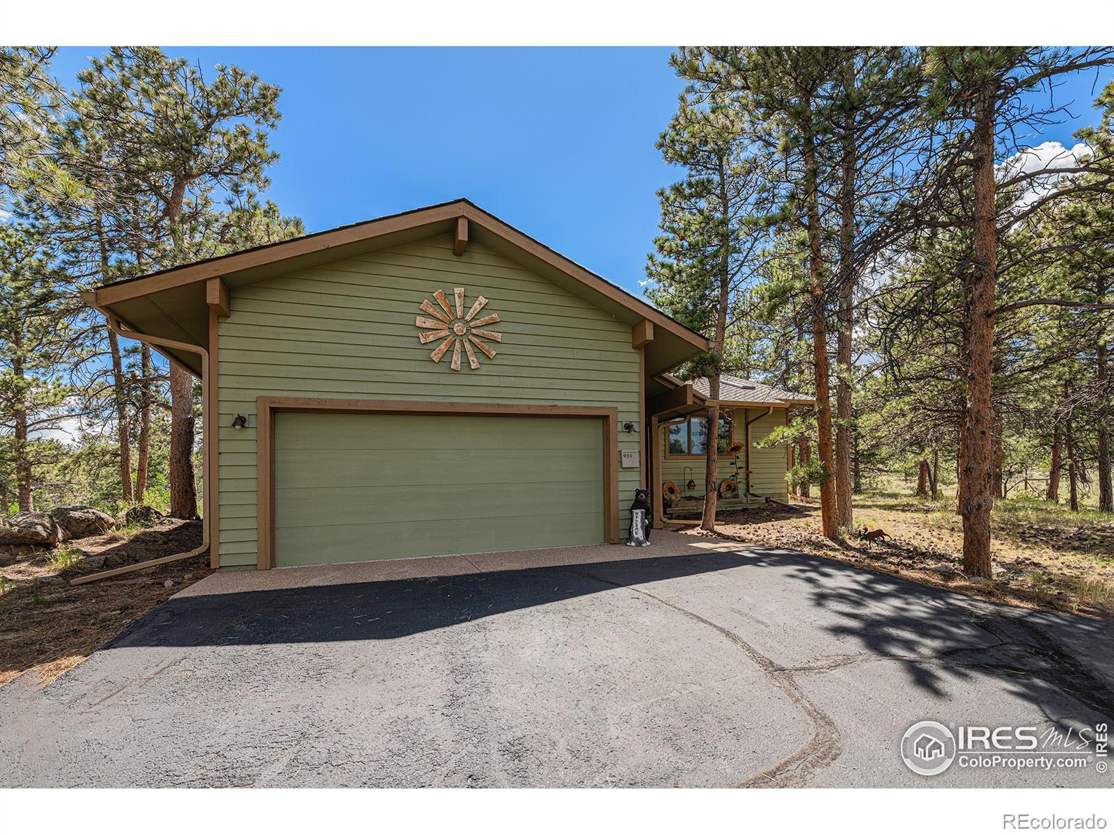 MLS Image #1 for 939  fox acres drive,red feather lakes, Colorado