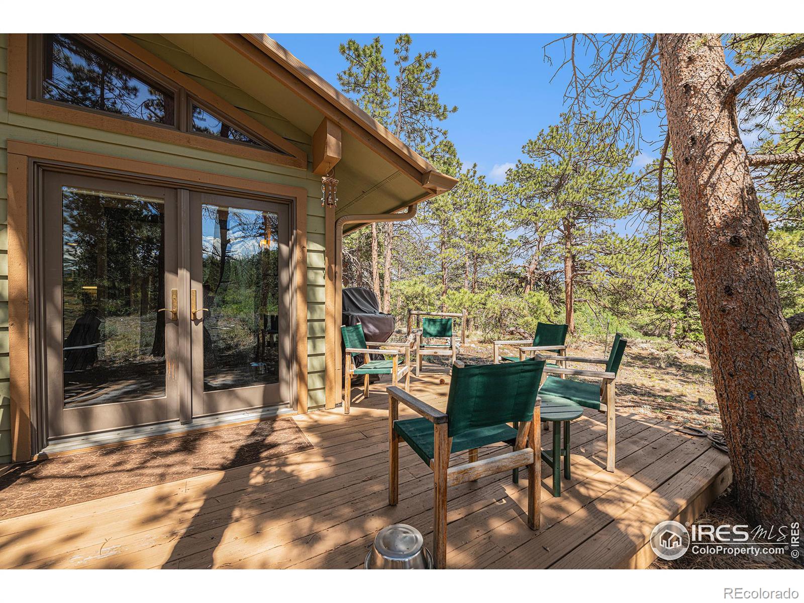 MLS Image #32 for 939  fox acres drive,red feather lakes, Colorado