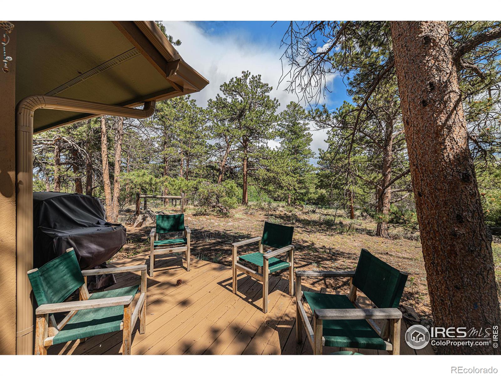 MLS Image #34 for 939  fox acres drive,red feather lakes, Colorado