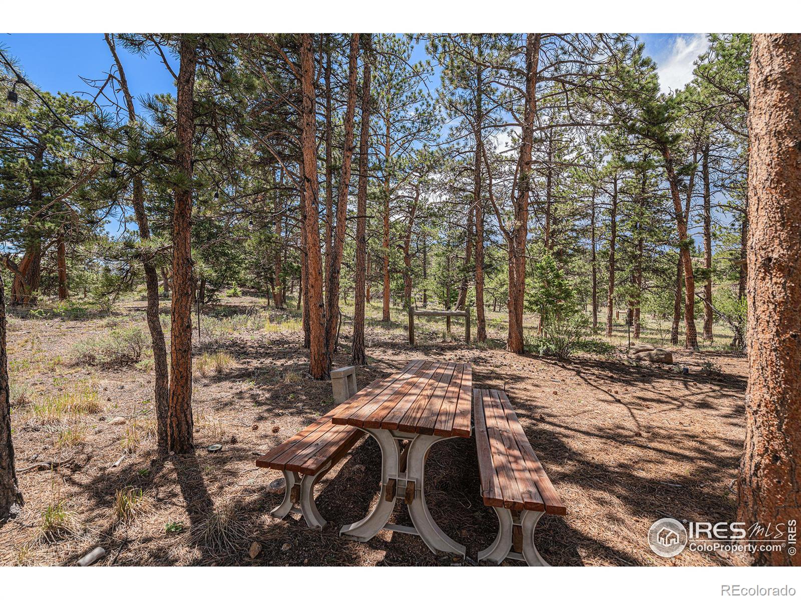 MLS Image #36 for 939  fox acres drive,red feather lakes, Colorado