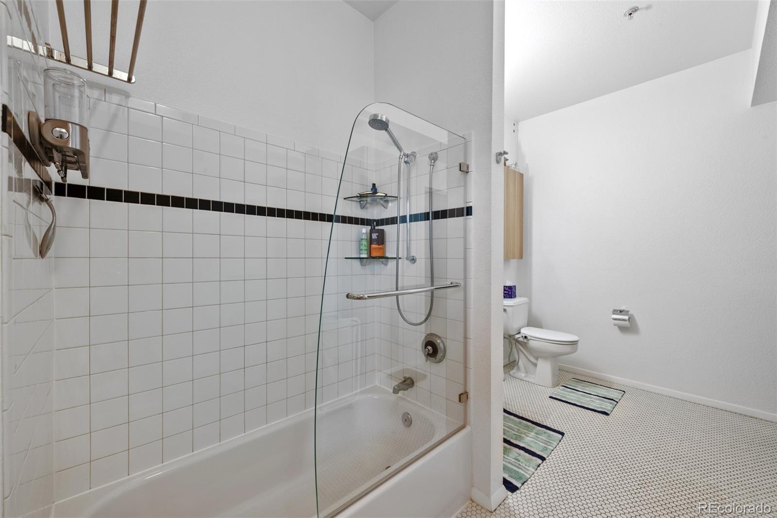 MLS Image #20 for 3225  blake street,denver, Colorado
