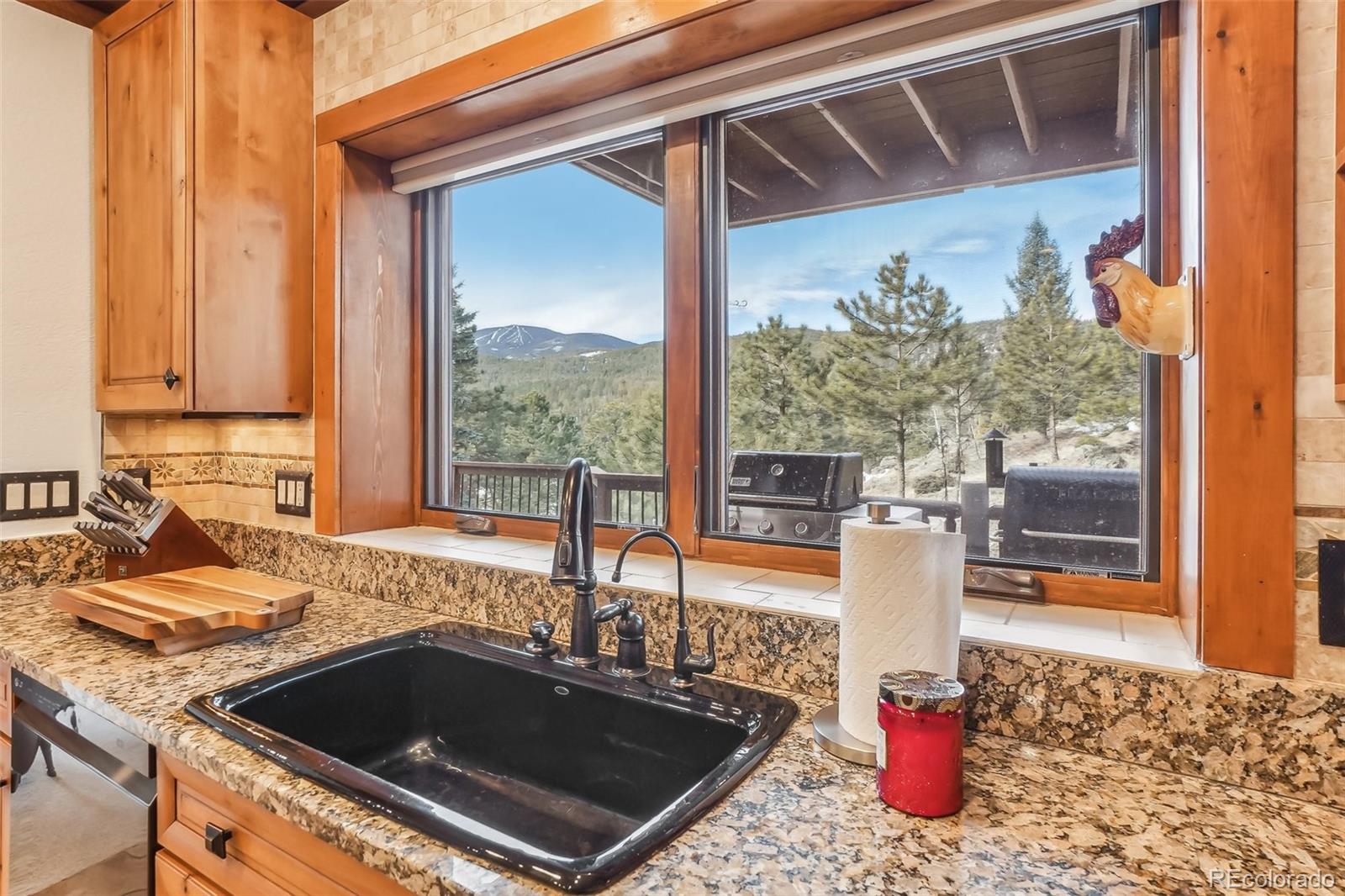 MLS Image #15 for 29477  blue moon drive,evergreen, Colorado